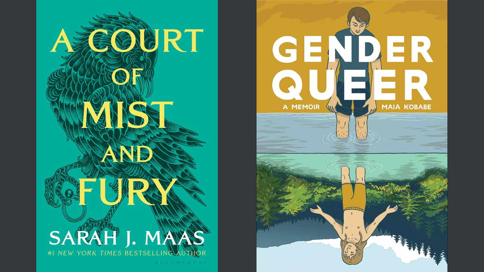 Covers of A Court of Mist and Fury by Sarah J. Maas and Gender Queer by Maia Kobabe